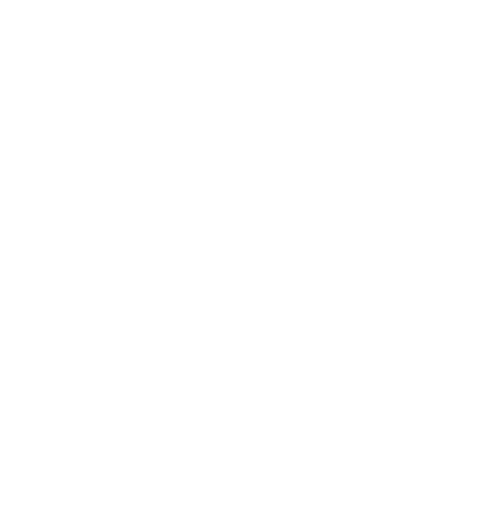 logo pirati